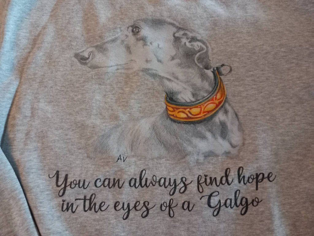 Galgo Trui, Verzenden, Maat 46/48 (XL) of groter, Onbekend, Grijs