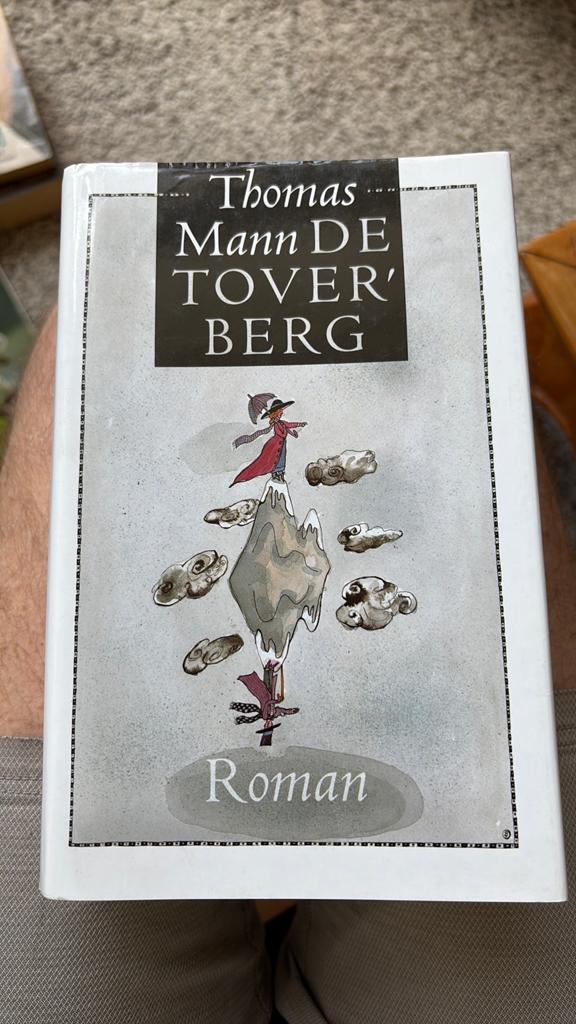 Thomas Mann - De Toverberg, Ophalen of Verzenden, Zo goed als nieuw, Thomas Mann