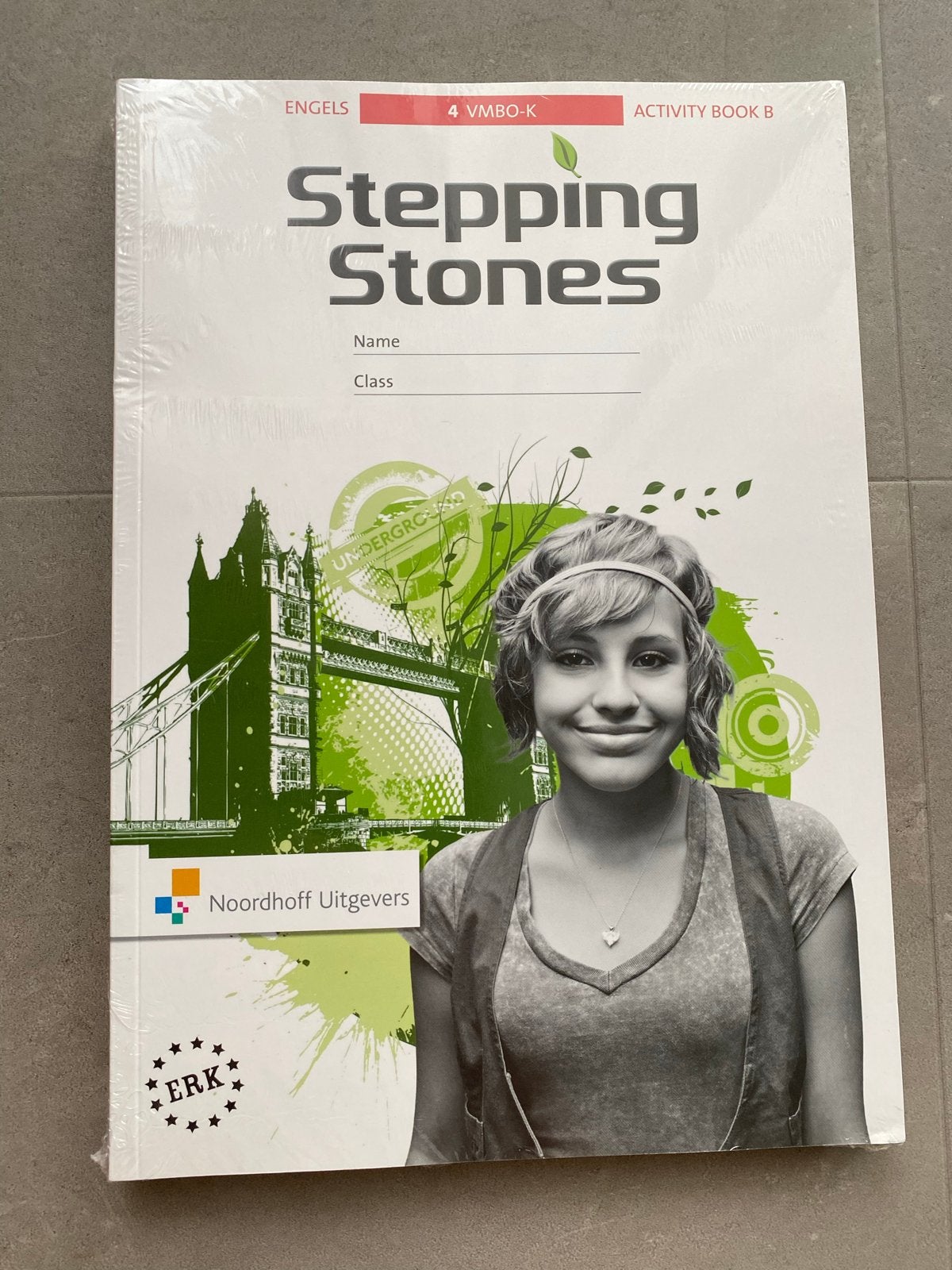 Stepping Stones Engels 4 VMBO-K Activity Book A & B, Boeken, Ophalen of Verzenden, Nieuw, VMBO, Engels