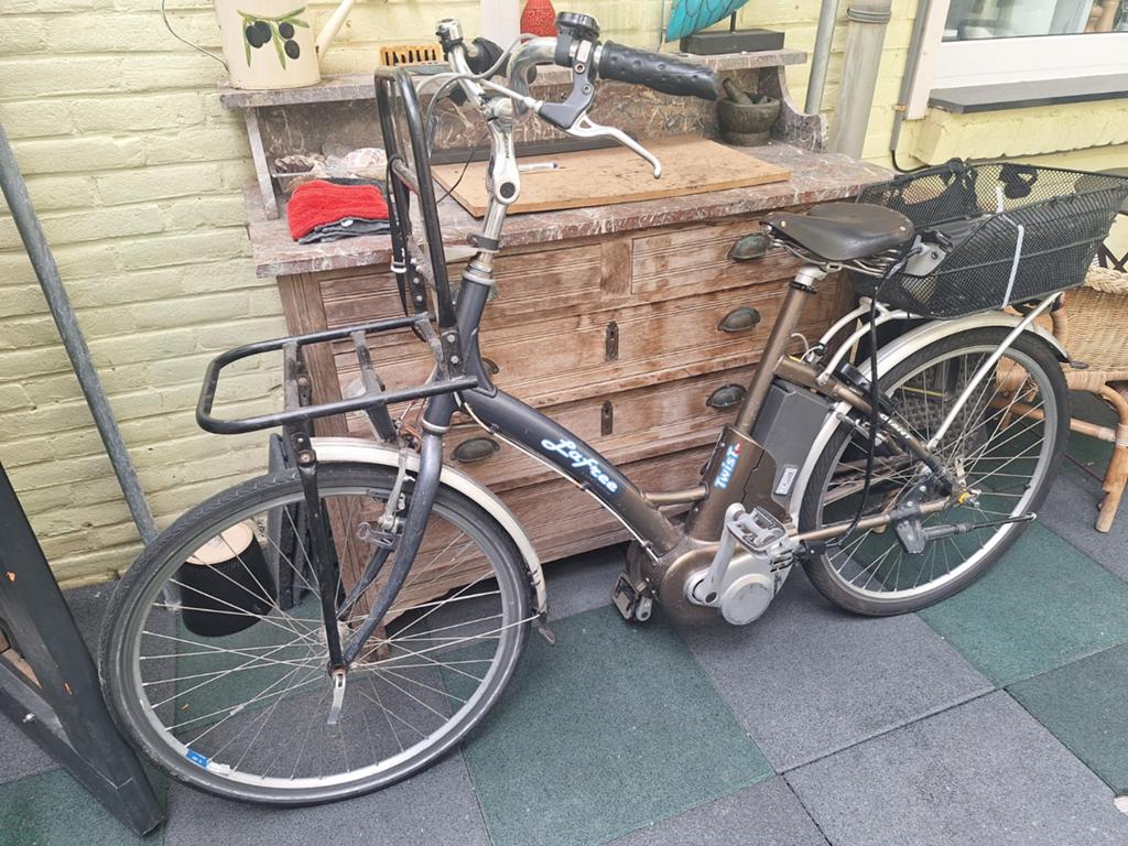GIANT E-bike LaFree Twist Lite - Functionele Vrachtfiets, Verzenden