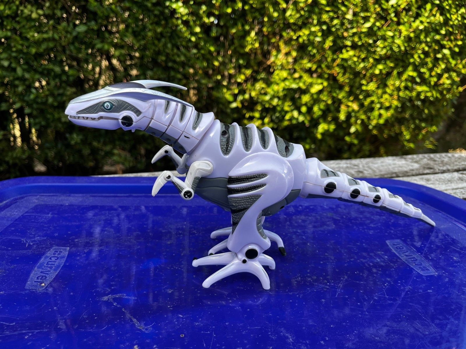 Bewegende dino - Loopt nog steeds!, Ophalen of Verzenden, Gebruikt, Jongen of Meisje