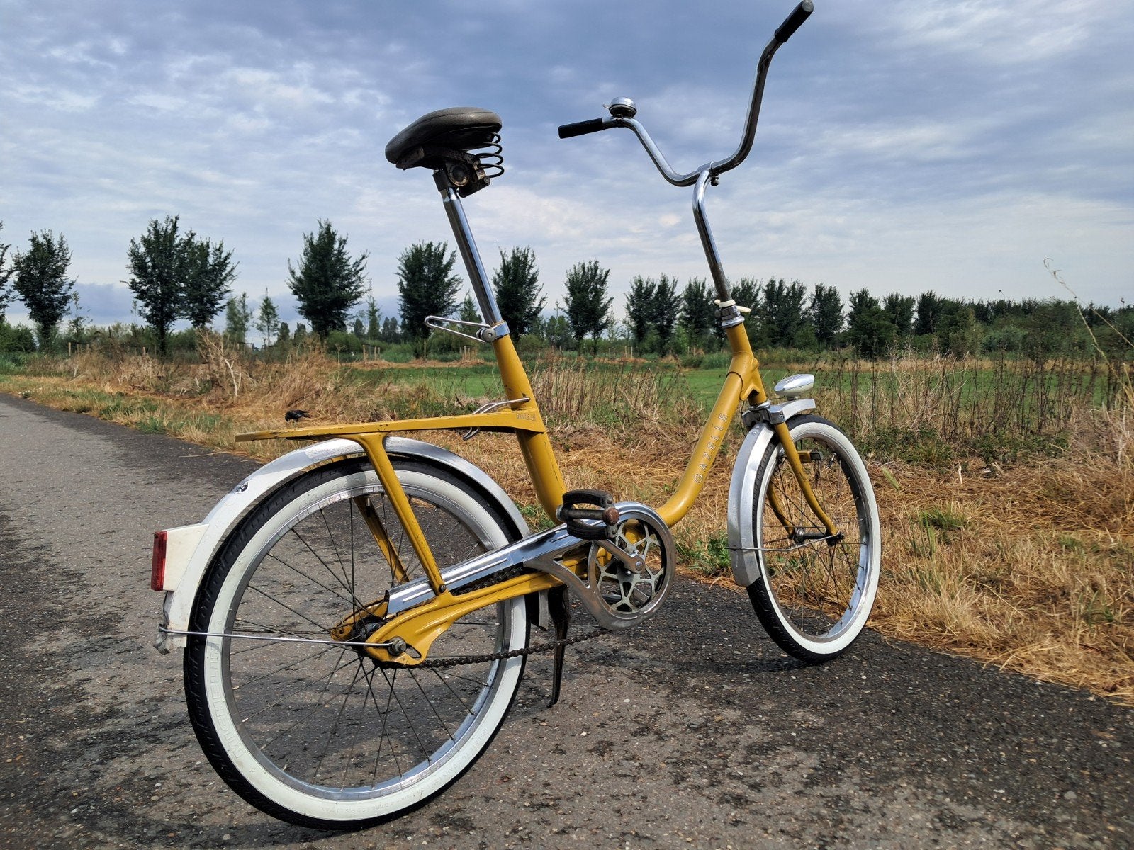 1969 - Gazelle MINI D, Fietsen en Brommers, Fietsen | Oldtimers, Ophalen, Terugtraprem, Jaren '60 of nieuwer, Minder dan 47 cm