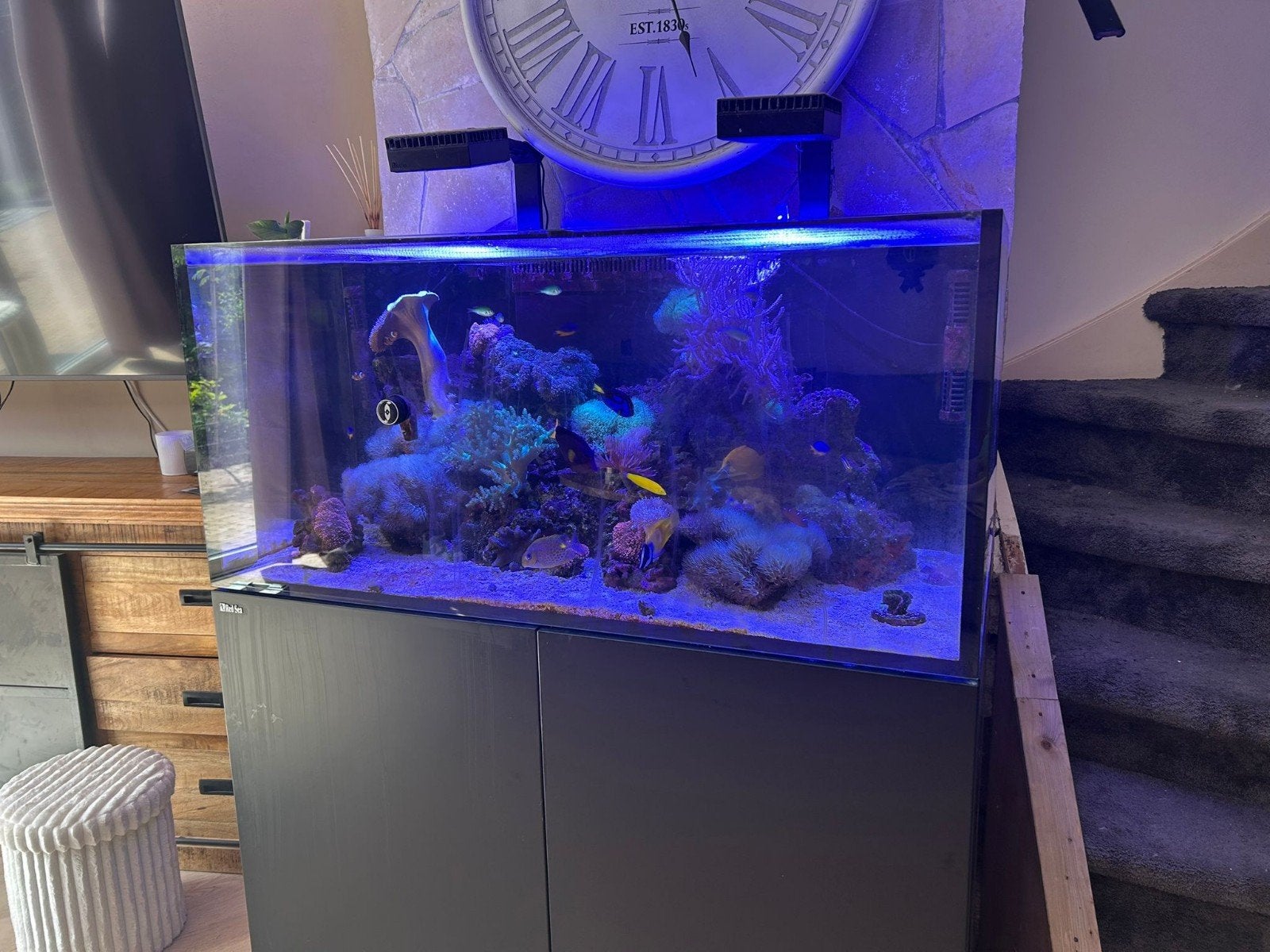 red sea aqarium 120 cm breed, Dieren en Toebehoren, Vissen | Aquaria en Toebehoren, Ophalen of Verzenden, Zo goed als nieuw, Leeg aquarium