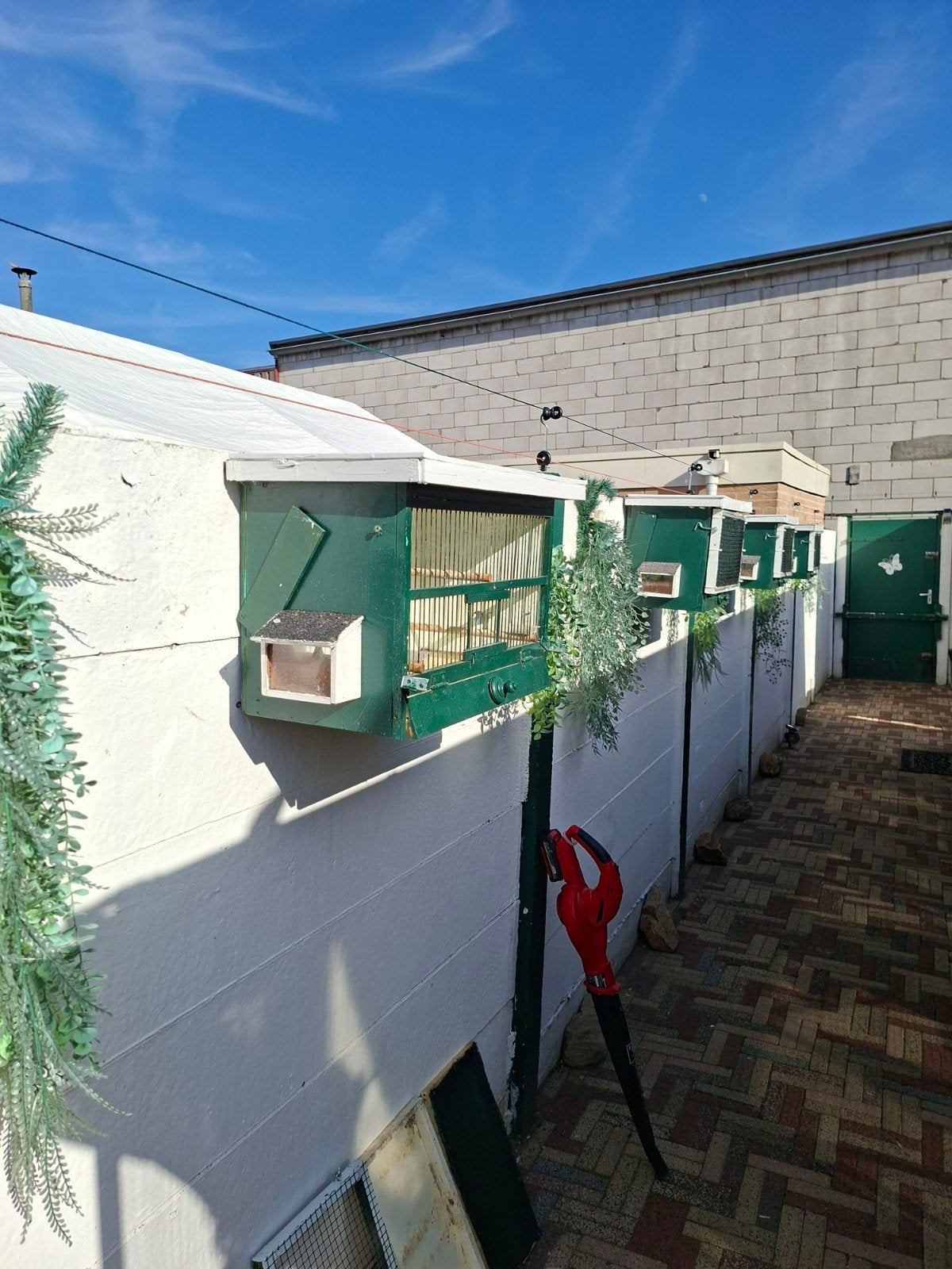 Gratis afhalen 4 stuks zangkooien, Dieren en Toebehoren, Ophalen, Gebruikt, Hout, Vogelkooi