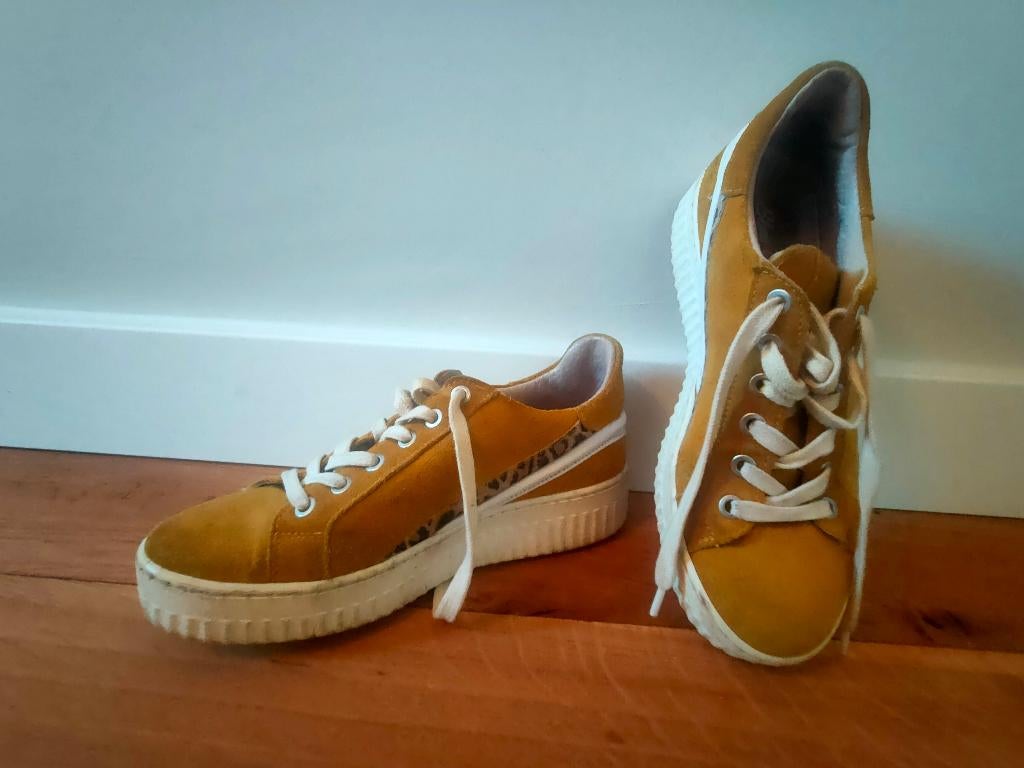 Schoenen okergeel, Ophalen, Geel, Sneakers of Gympen, Gedragen