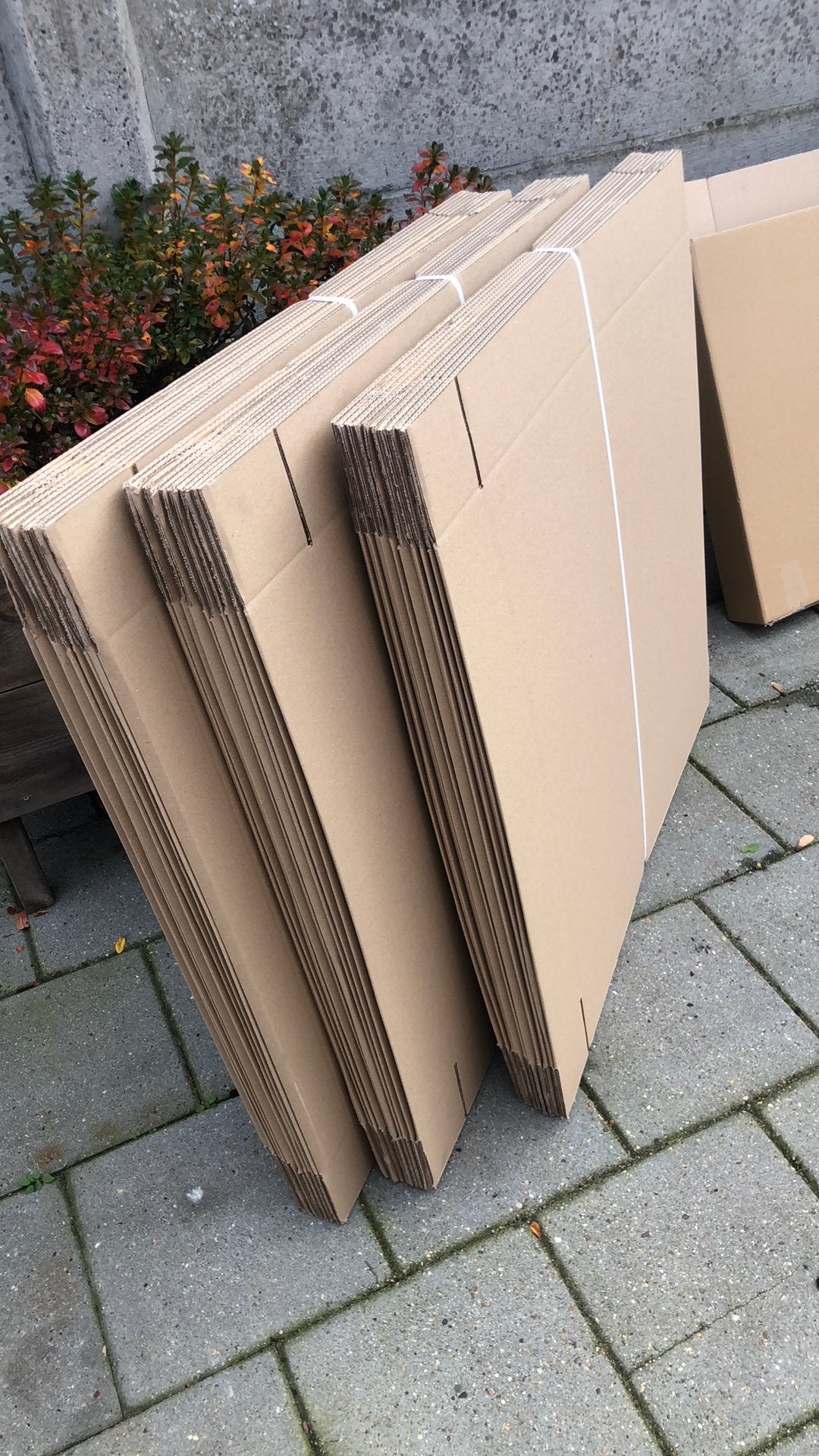 Dozen, Doe-het-zelf en Verbouw, Ophalen, Doos, Minder dan 50 cm, Minder dan 40 cm