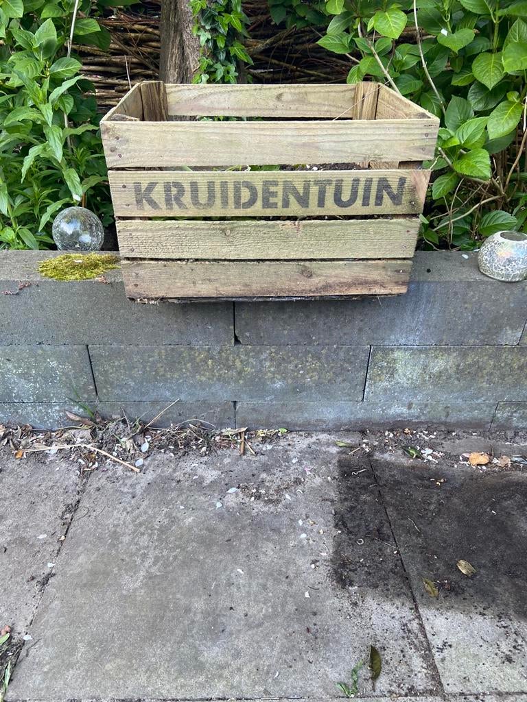 Kweek krantten 4 7,5 per dtuk stuk alle 4 voor €20, Kunststof, Minder dan 30 cm, Rond, Ophalen of Verzenden
