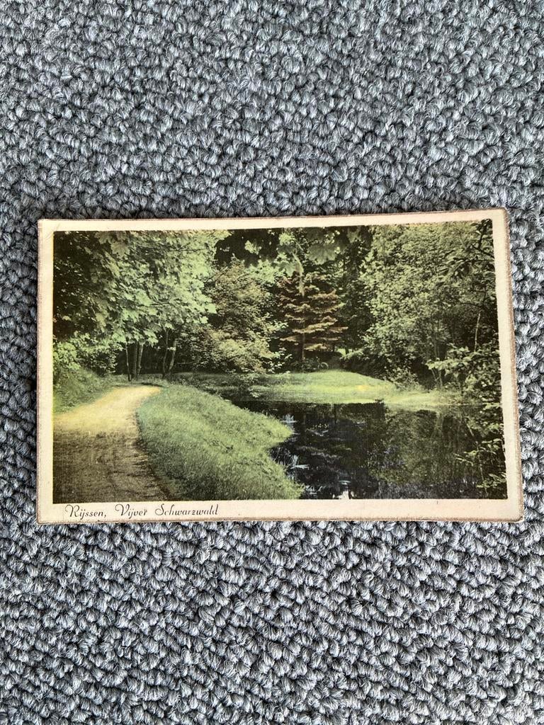 Ansichtkaart Rijssen, Vijver Schwarzwald - Gelopen 1956, Ophalen of Verzenden, 1940 tot 1960, Gelopen, Overijssel