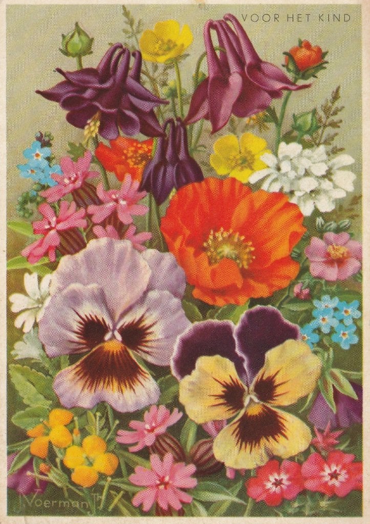 BLOEM TEKN J VOERMAN JAREN 60 MOOIE OUDE KAART KN96, Verzamelen, Ansichtkaarten | Themakaarten, Ophalen of Verzenden, 1960 tot 1980