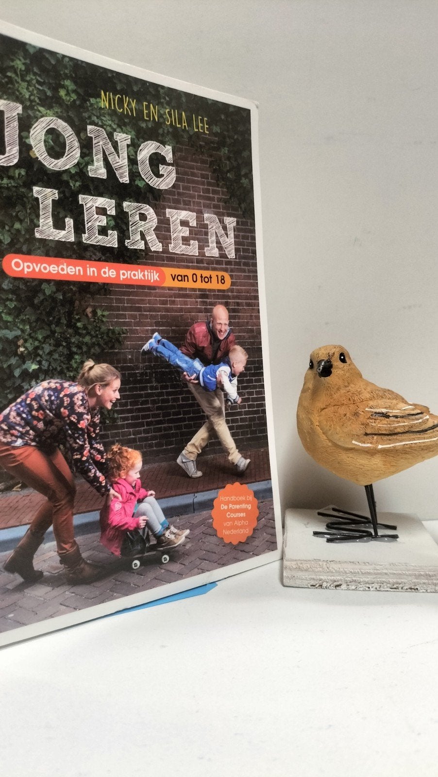 Lee, Nicky en Sila; Jong leren ( Opvoeden in de praktijk van, Ophalen of Verzenden, Gelezen, Overige onderwerpen
