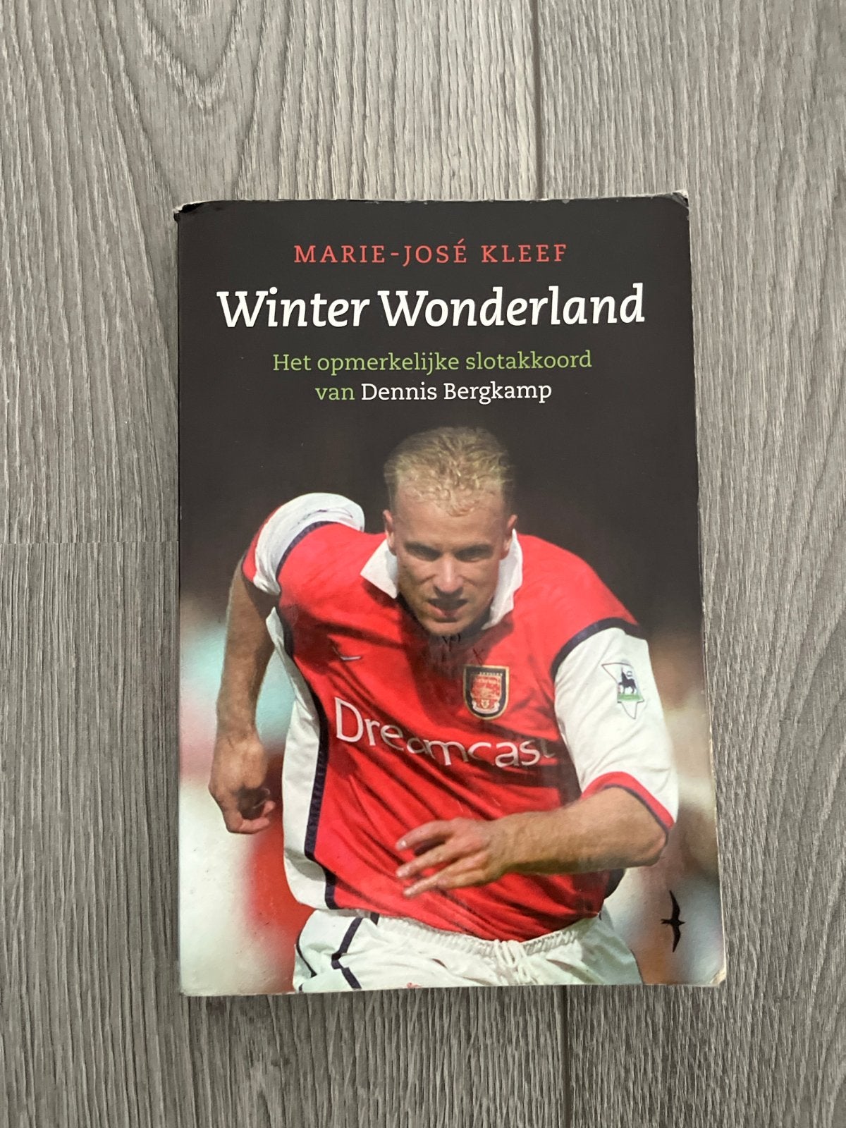 Winter Wonderland: Het slotakkoord van Dennis Bergkamp, Ophalen of Verzenden, Gelezen, Balsport