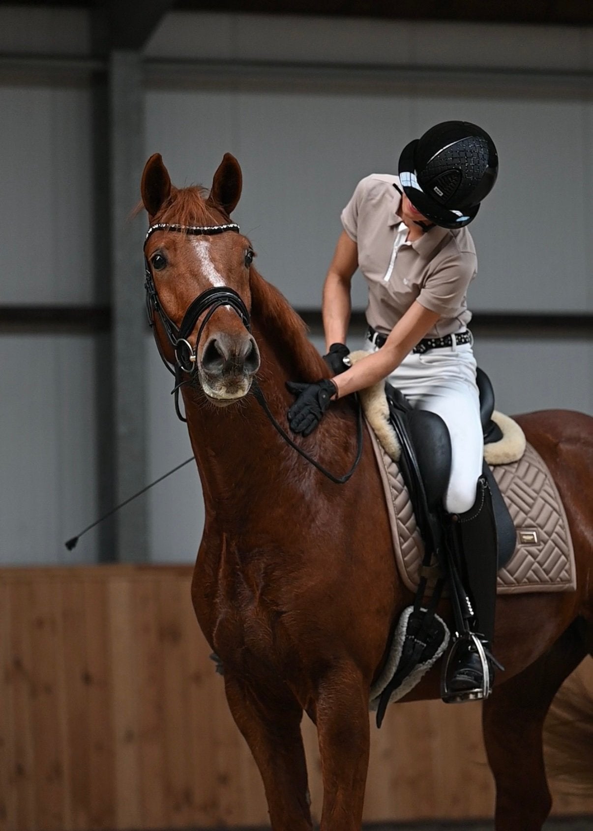 4 jarige ruin van For Ferrero x Dialy Diamond te koop!, Ruin, Dressuurpaard, 3 tot 6 jaar