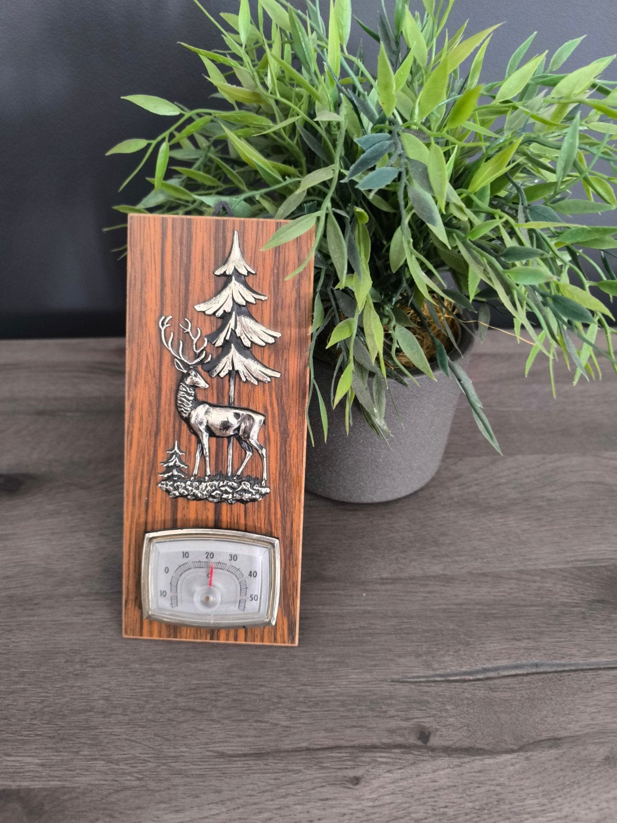 te koop: thermometer, Ophalen