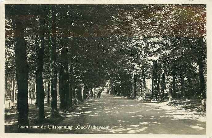 301-147-047 Bussum Uitspanning Valkeveen, Verzenden, Voor 1920, Noord-Holland