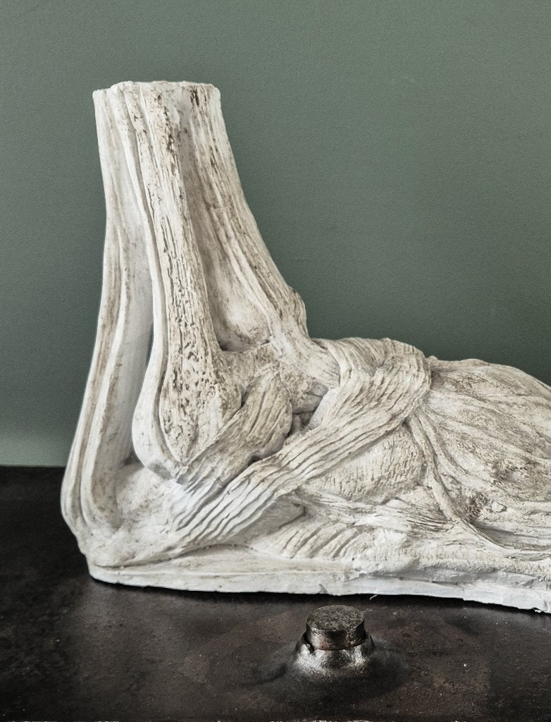 Foto 4 van Anatomisch model voet XL!