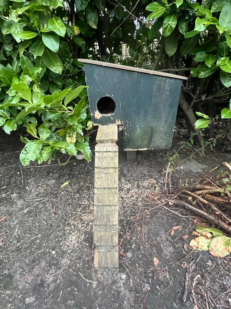 Broedhok eend, Ophalen, Gebruikt, Hout, Vogelkooi