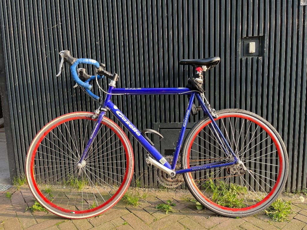 gazelle giro