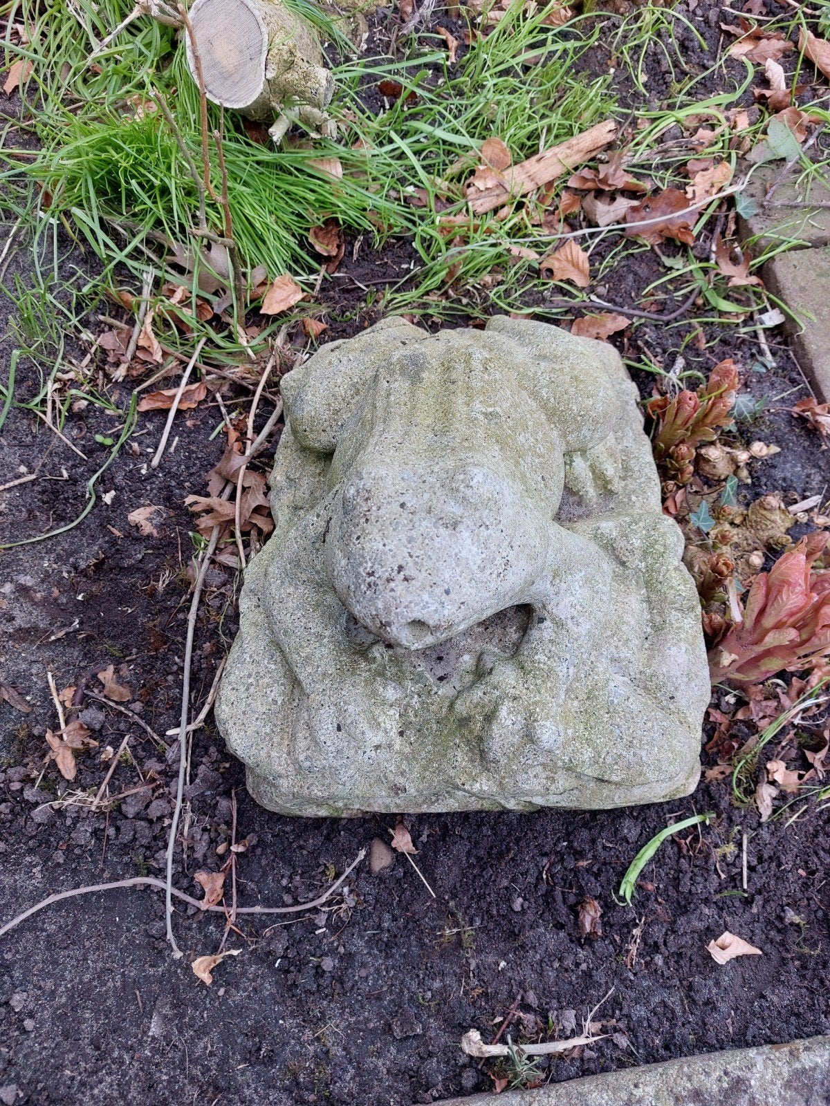 Decoratieve Kikker Tuinbeeld - Steen, Ophalen, Gebruikt, Steen, Dierenbeeld