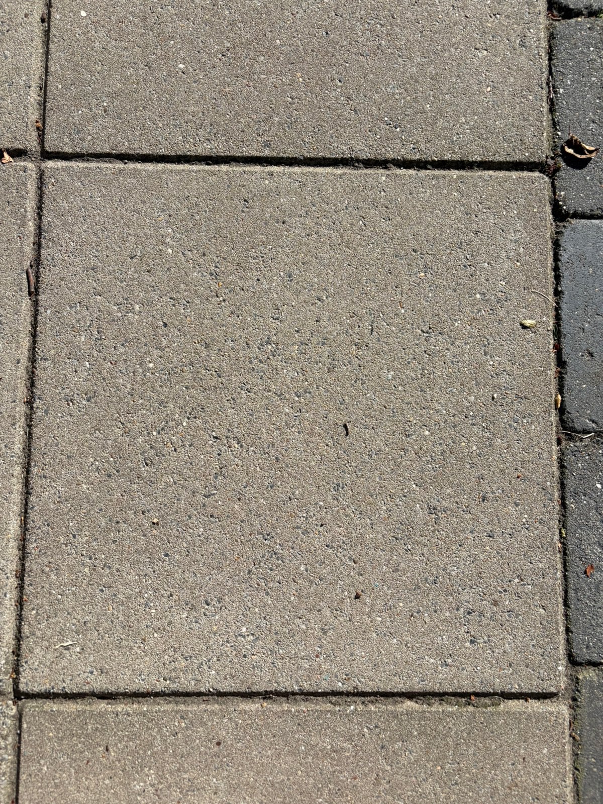 5 tegels 60 bij 60 cm, goede staat, Ophalen, Zo goed als nieuw, Minder dan 5 m², Beton