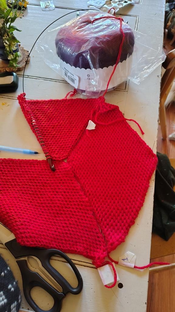 Gezocht: Scheepjes whirligig plum to ochre en ochre to teal, Hobby en Vrije tijd, Breien en Haken, Ophalen of Verzenden, Nieuw