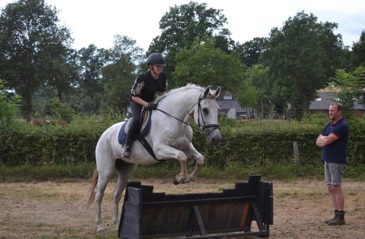 Lease paard/pony gezocht, Ophalen of Verzenden