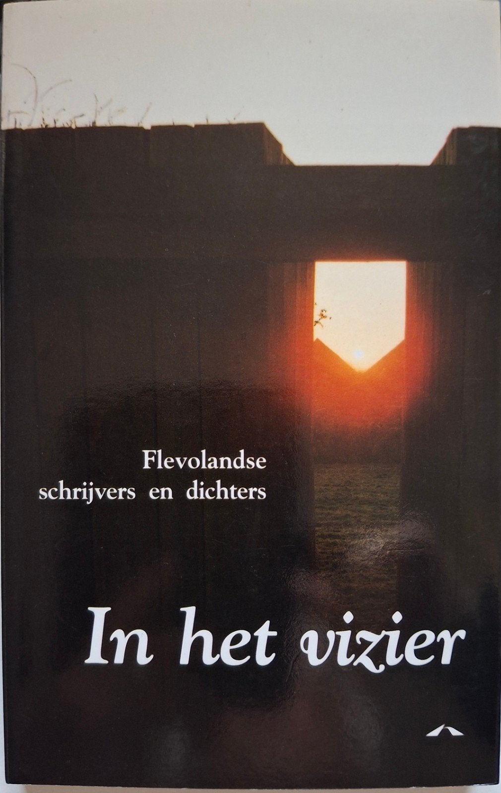 In het vizier: Flevolandse schrijvers en dichters, Boeken, Ophalen of Verzenden, Flevolandse schrijvers, Meerdere auteurs, Gelezen