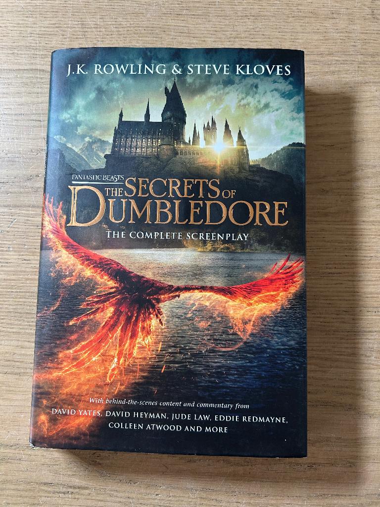 Fantastic Beasts the Secrets of Dumbledore | Engels, Ophalen of Verzenden, Gelezen