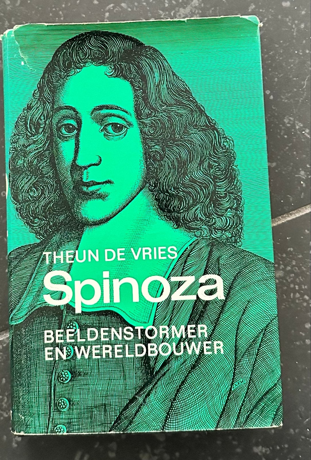 Spinoza: Beeldenstormer en Wereldbouwer - Theun de Vries, Ophalen of Verzenden, Gelezen, Overige