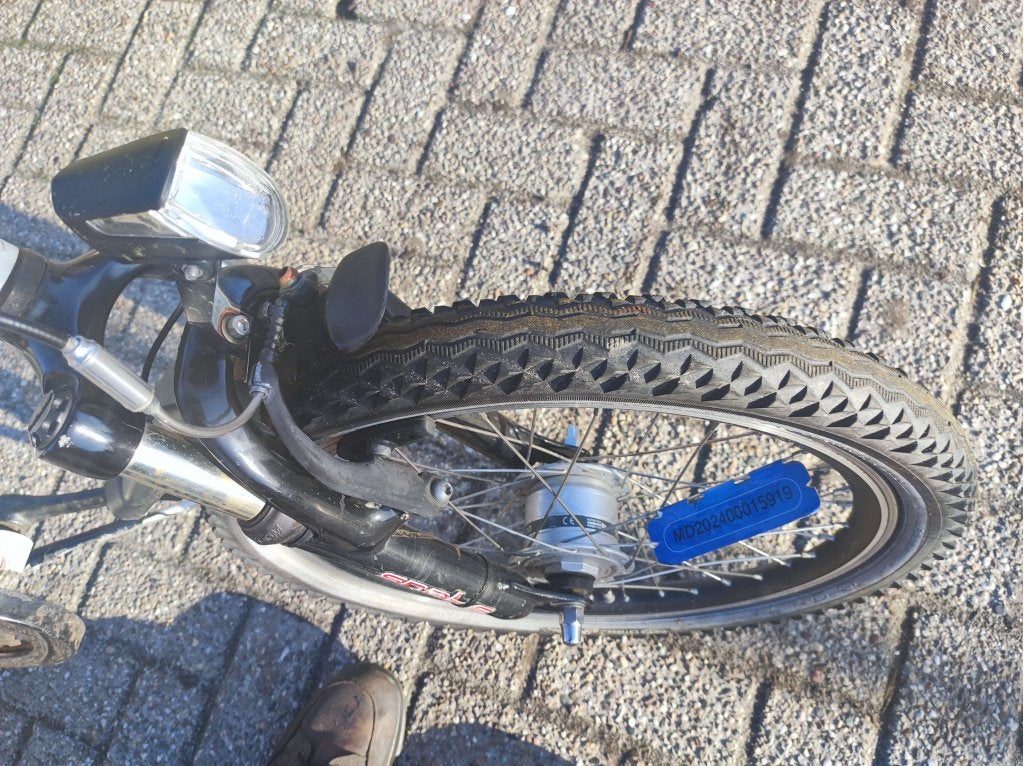 Batavus Snake jongens 20 inch, Gebruikt, 20 inch, Niet ingevuld, Ophalen