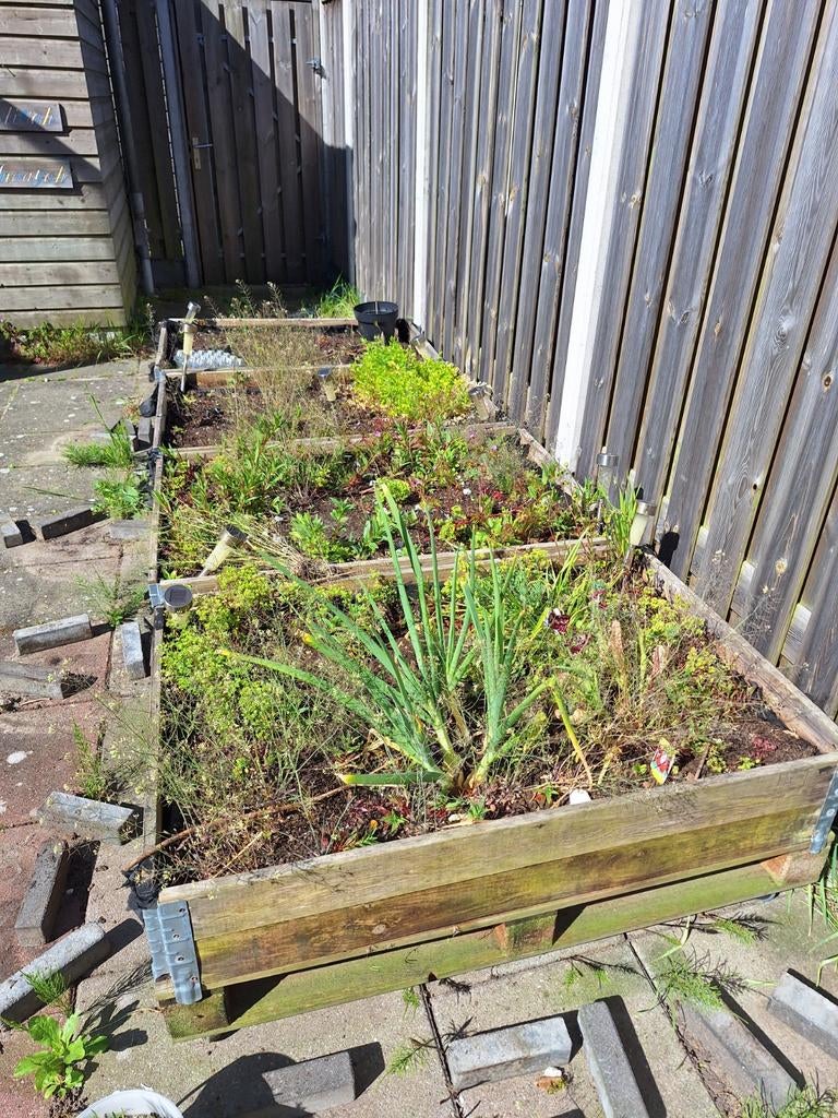 Palletranden op houten pallets met zwenkwielen en planten, Tuin en Terras, Bloembakken en Plantenbakken, Ophalen, Gebruikt, 100 cm of meer