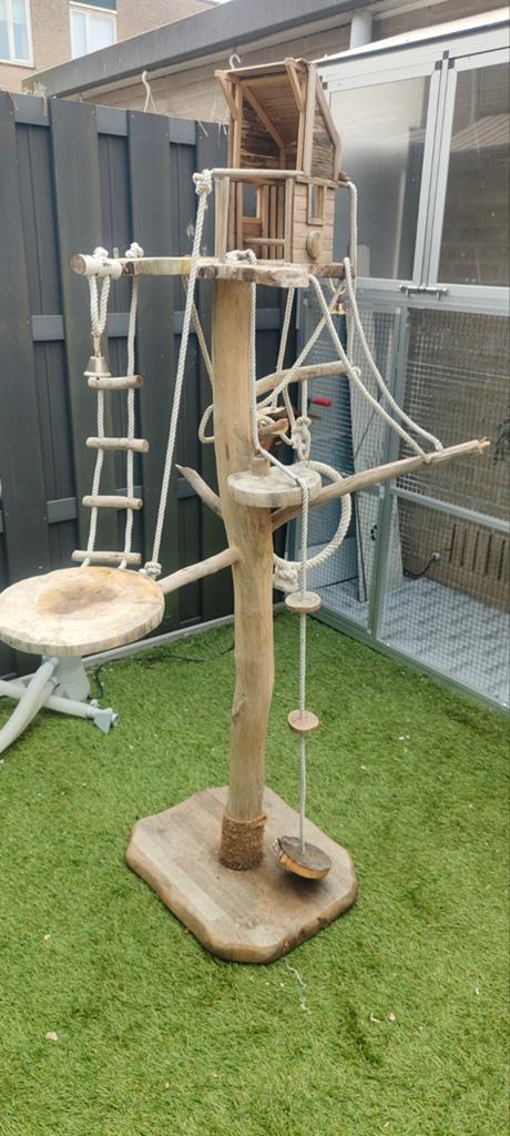 Stevige vogel boom ( opknappertje ), Ophalen, Gebruikt, Speelgoed