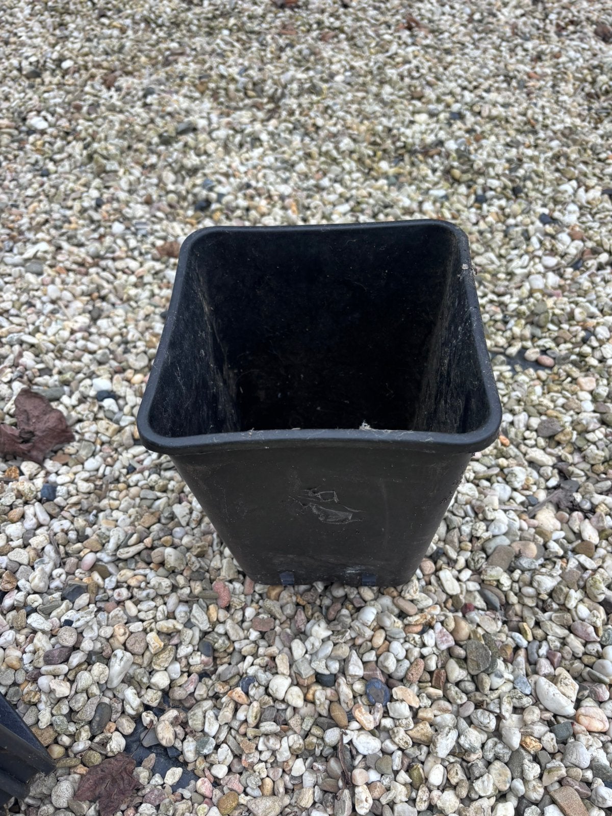 Plantpotten 6,5 liter, 55 stuks, Tuin en Terras, Kunststof, Minder dan 30 cm, Verzenden, Rond