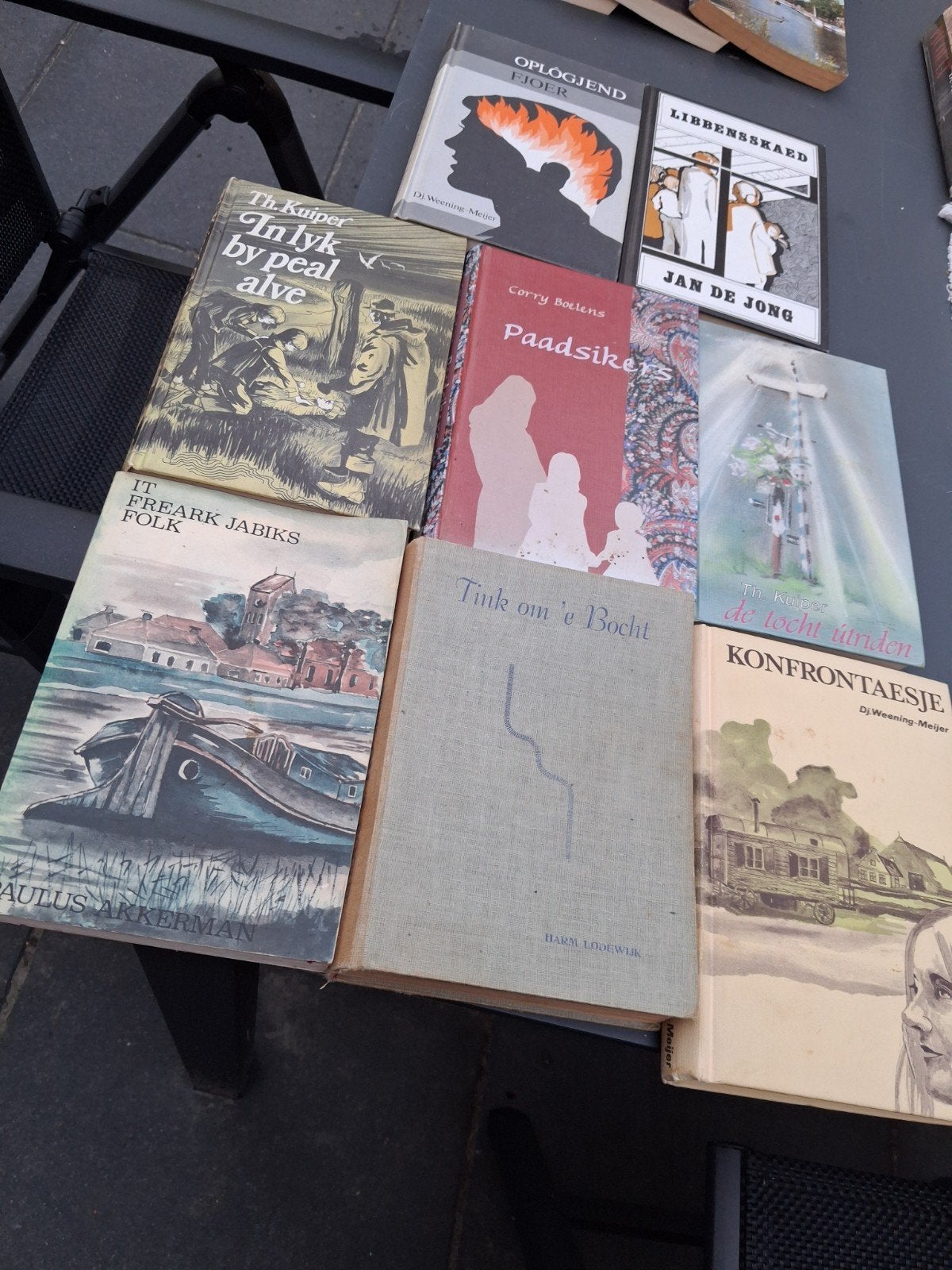 friese boeken, Ophalen of Verzenden, Zo goed als nieuw