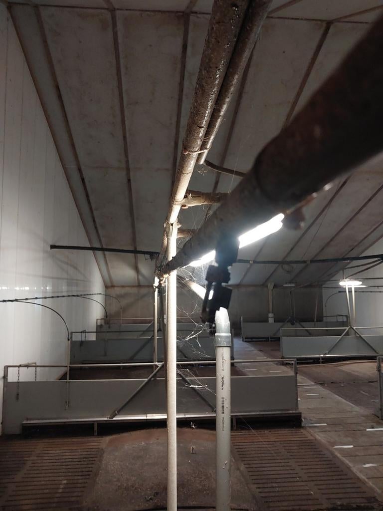 Inweek lijnen. 20 meter lengte met 8 nozzles., Dieren en Toebehoren, Overige Dieren-accessoires, Ophalen, Gebruikt
