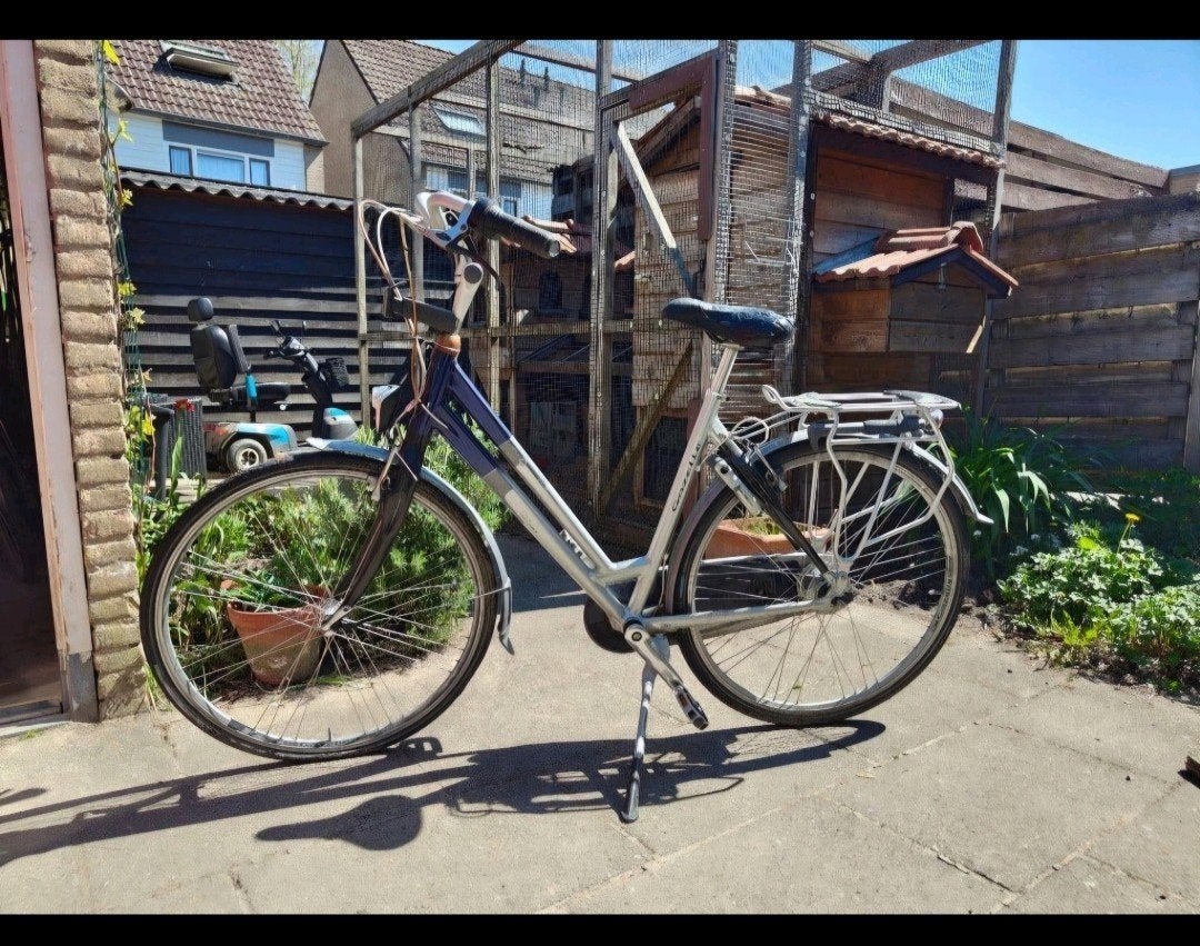 Gazelle Chamonix, 53 tot 56 cm, Ophalen, Gebruikt, Gazelle
