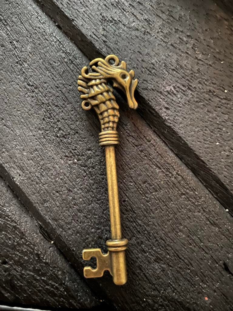 Decoratieve sleutel met zeepaardje design, Ophalen of Verzenden