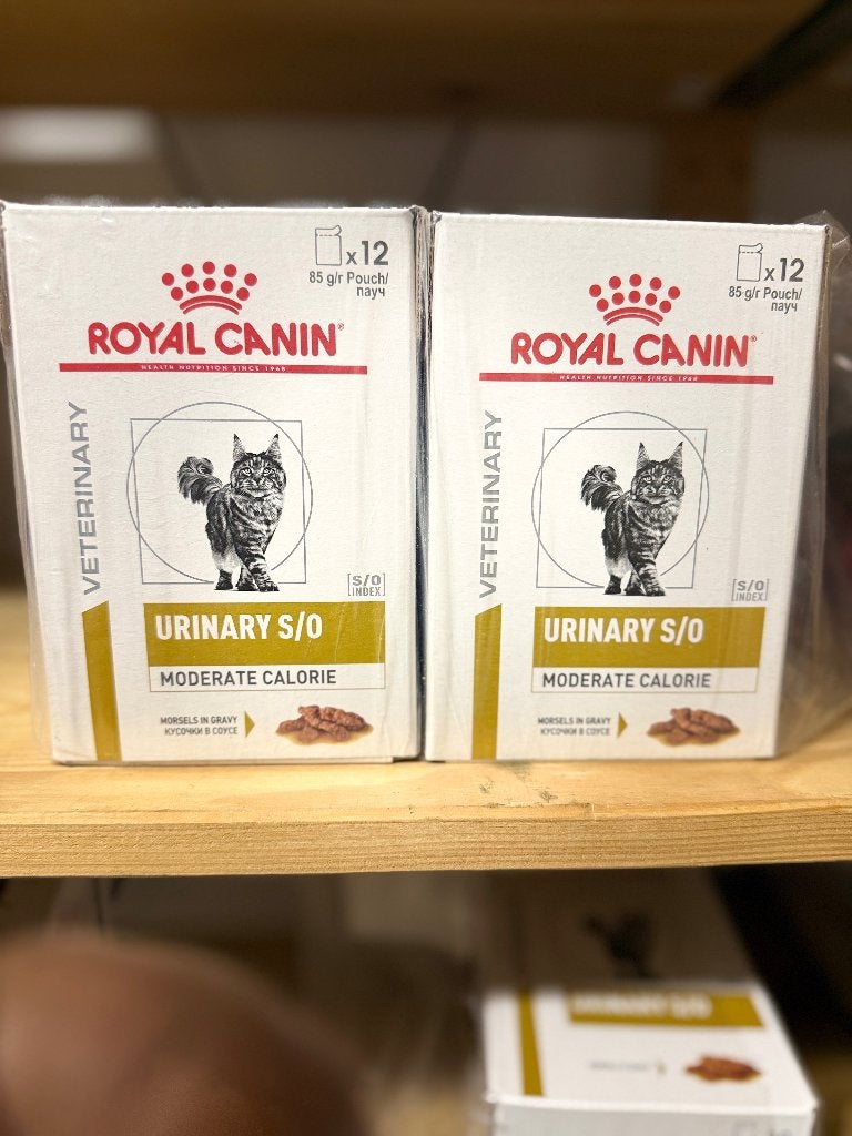 Royal canin urinairy Moderate natvoer kat, Ophalen, Kat