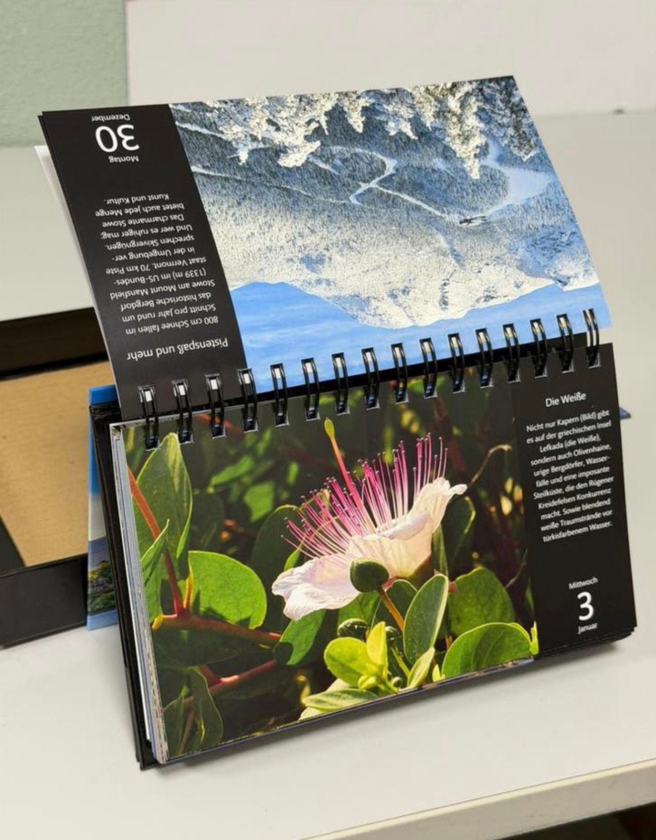 Harenberg Kalender 2024 Wereld Reis 366 natuur Foto’s Nieuw, Diversen, Kalenders, Nieuw, Ophalen of Verzenden, H, H
