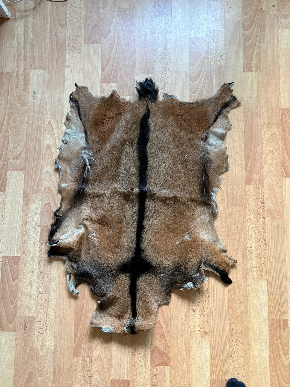 Geitenhuid - Decoratief, Gebruikt, 100 tot 150 cm, Bruin, Overige vormen