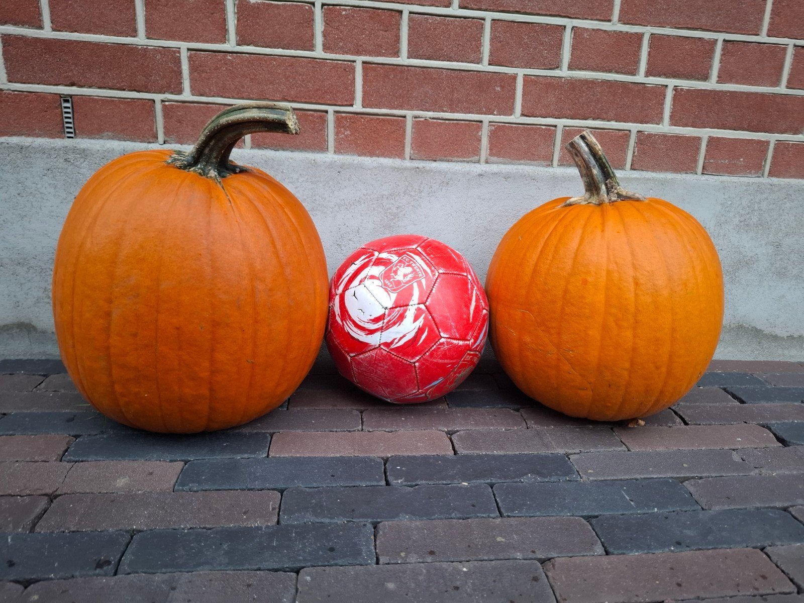 Grote halloween pompoenen, Ophalen