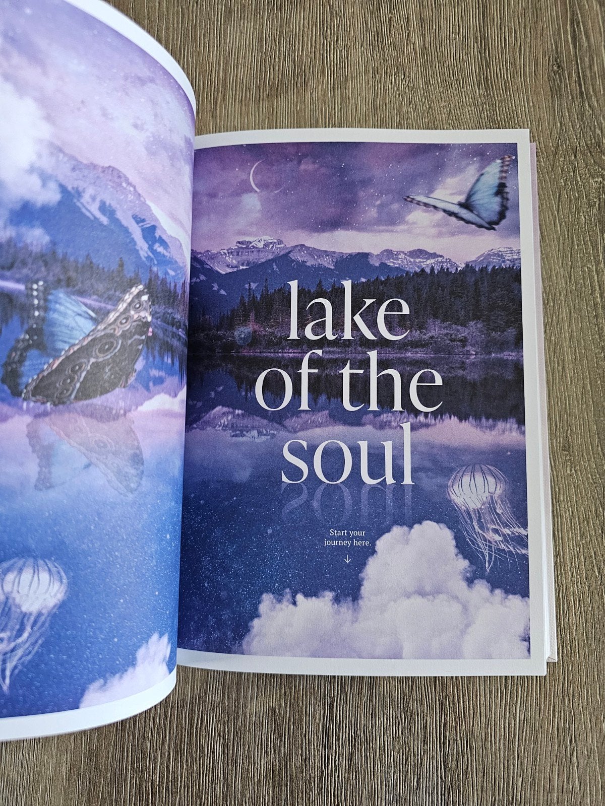 The art of dreaming, rituals, rituals boek, journal book, Ophalen of Verzenden, Nieuw, Meditatie of Yoga, Overige typen