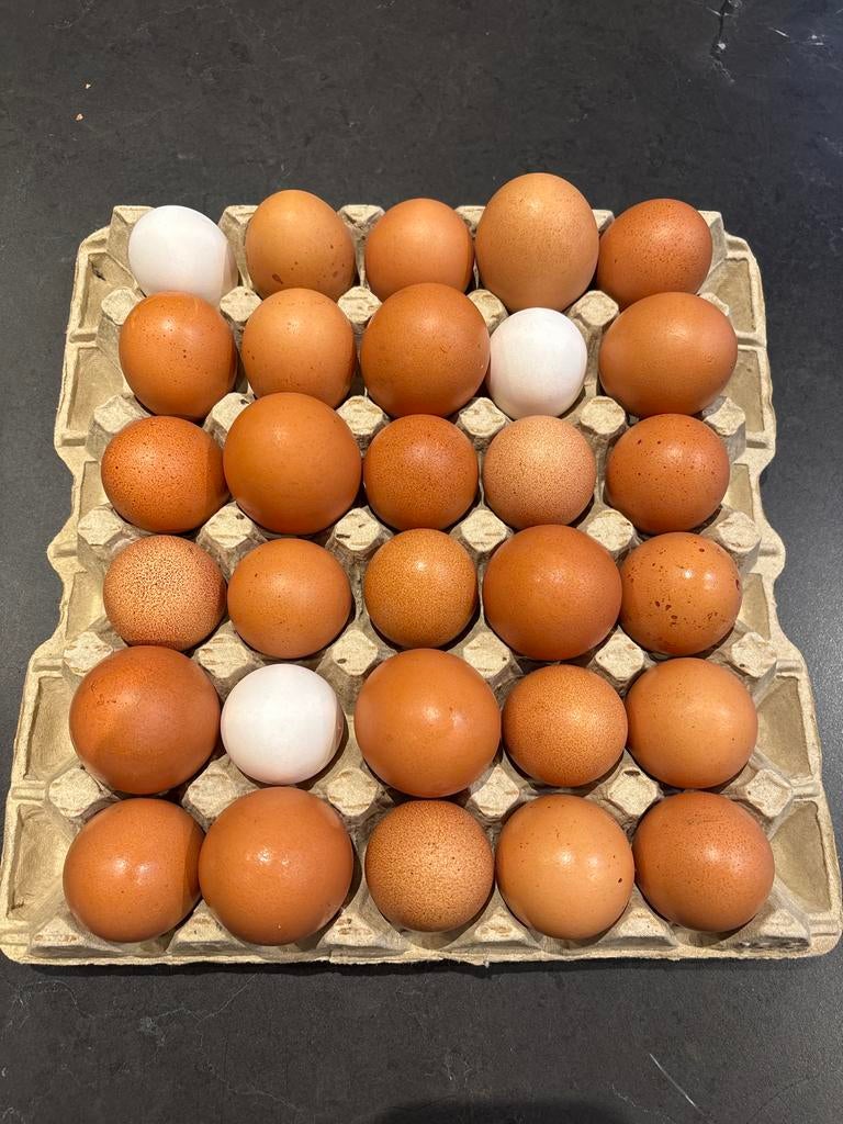 Verse eieren van eigen kippen, Diversen, Ophalen