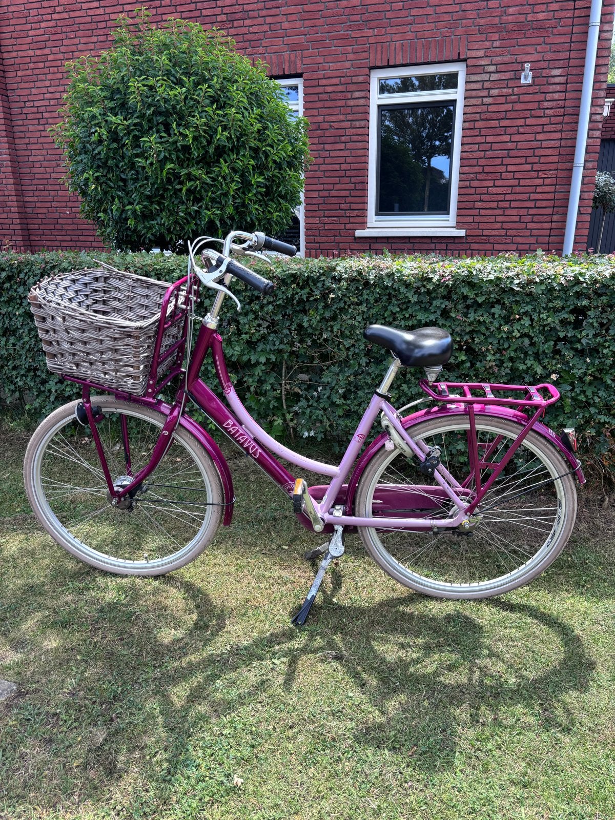 Batavus damesfiets met mand, Fietsen en Brommers, Fietsen | Dames | Damesfietsen, Ophalen, Batavus, Versnellingen, Zo goed als nieuw