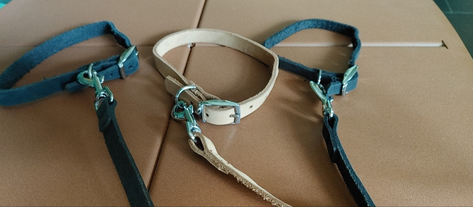 leder halsband met riem, Ophalen of Verzenden