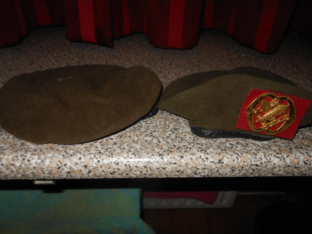 militaire baretten, Ophalen, Landmacht, Nederland, Embleem of Badge