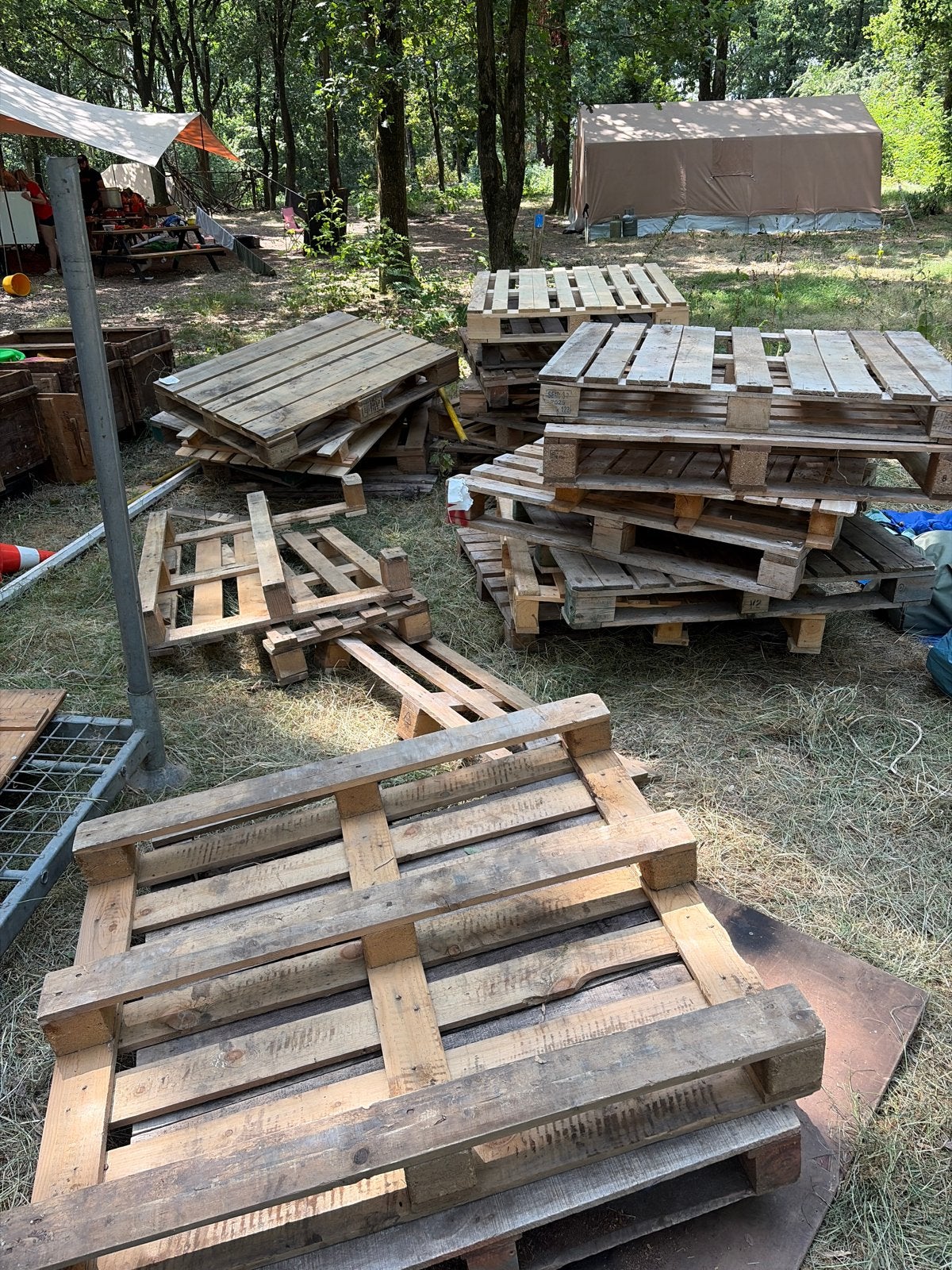 GRATIS Pallets stookhout - Ophalen in Mook, Tuin en Terras, 3 tot 6 m³, Ophalen of Verzenden, Overige houtsoorten, Blokken