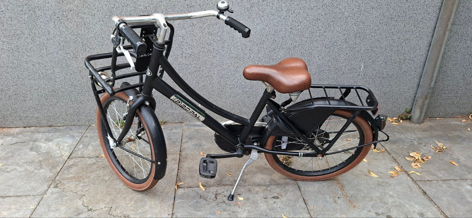 Popal meisjesfiets 20 inch, Fietsen en Brommers, Fietsen | Meisjes, Ophalen, Terugtraprem, Gebruikt, Handrem