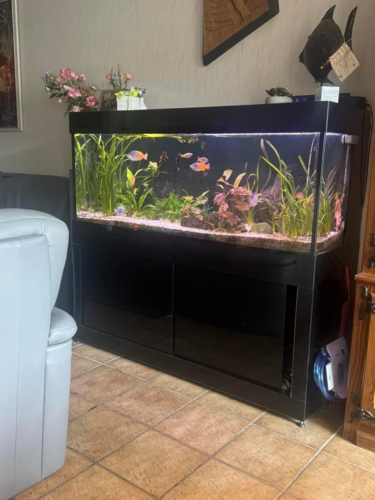 Aquarium, Ophalen, Inclusief vissen, Zo goed als nieuw, Gevuld zoetwateraquarium