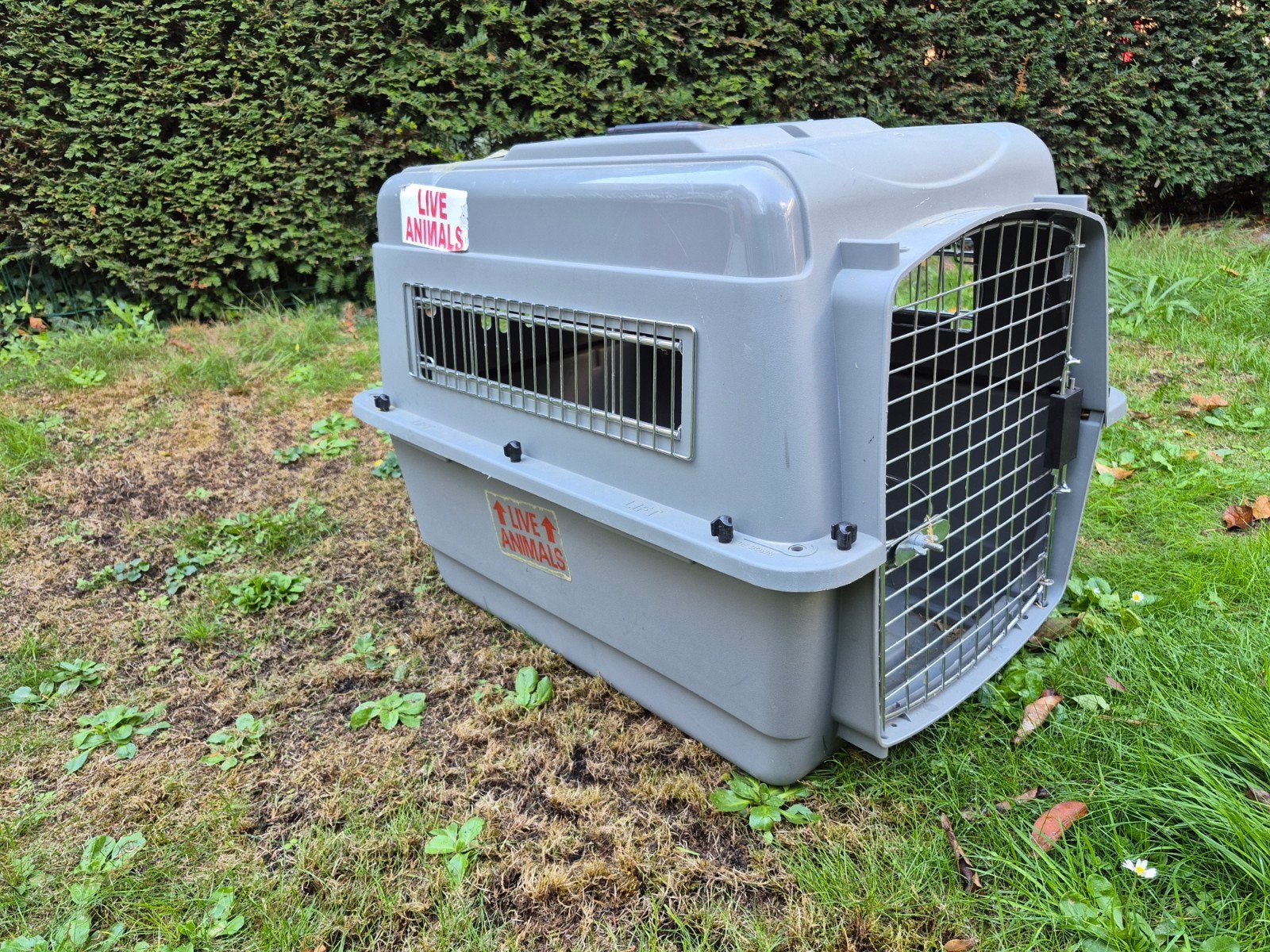 Transportbox 70x50x55cm, Dieren en Toebehoren, Ophalen of Verzenden, Zo goed als nieuw