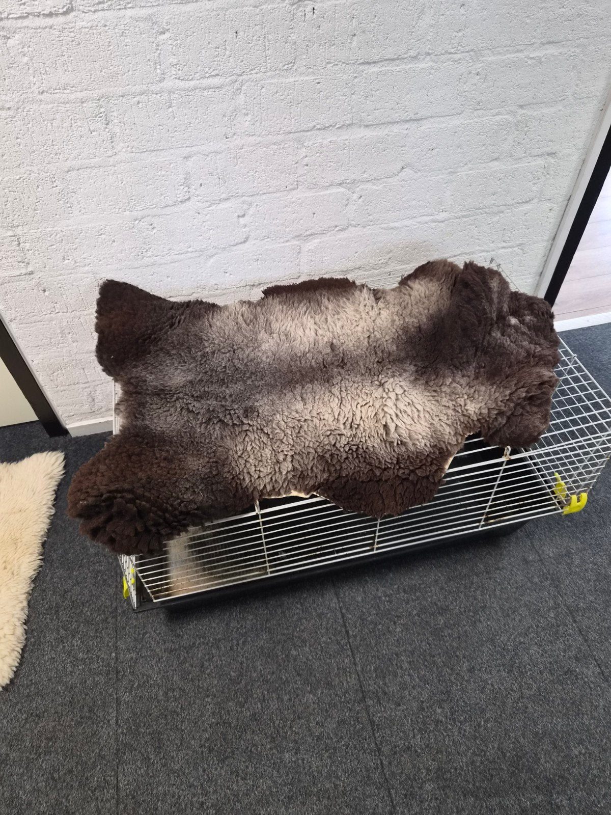 Diverse schapenvachten - Natuurlijke decoratie, Grijs, 50 tot 100 cm, Nieuw, Overige vormen